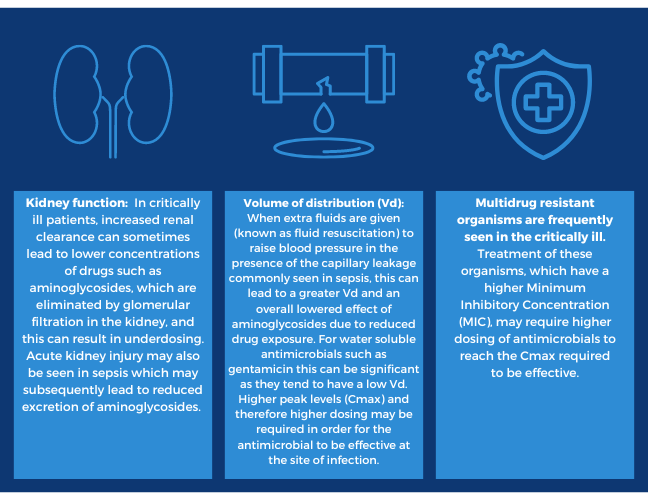 table showing three examples of changes occurring in sepsis that can lead to reduced efficacy of aminoglycoside treatment, which includes: kidney function, volume of distribution (Vd) and multidrug resistant organisms are frequently seen in the critically ill.
