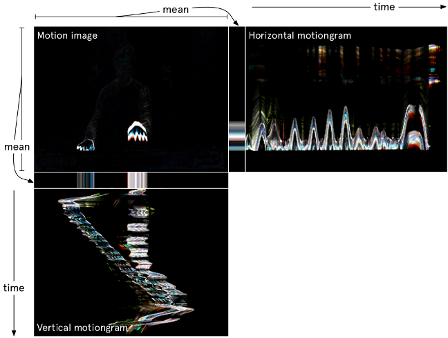 Schematic motiongram.