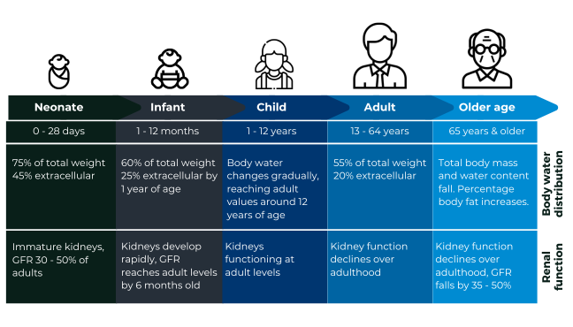 A timeline depicting the changes in body water distribution and renal function with age, from neonates through to old age.