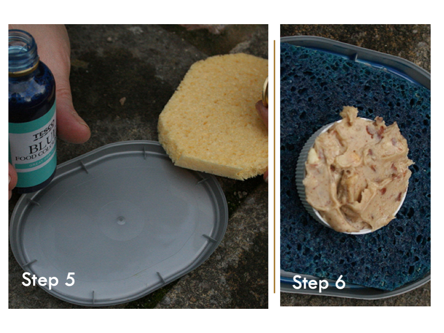 photo of peanut butter used as food in tracking tunnel peanut butter for tracking tunnel