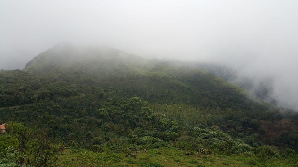 Photograph of green, forested hills covered in low cloud