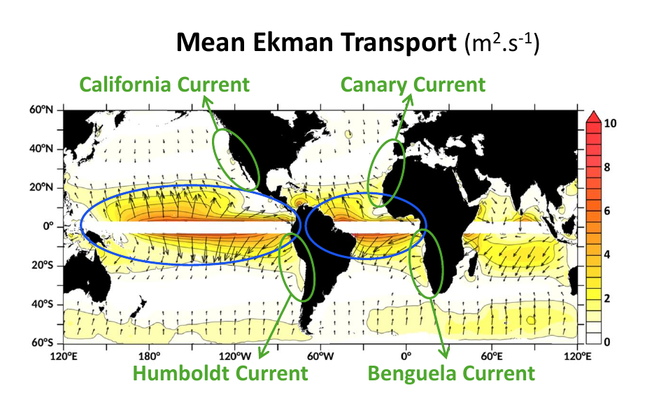 Figure 3: Mean Ekman transport and the Eastern Boundary Upwelling Systems