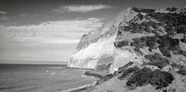 Black and white photograph of a tall bluff. A hill covered in hardy bushes rises sharply along the coast, with a sheer white cliff face above the sea.