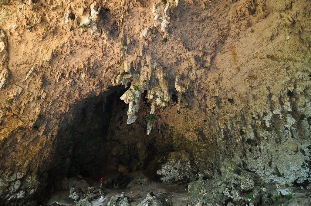 Liang Bua cave