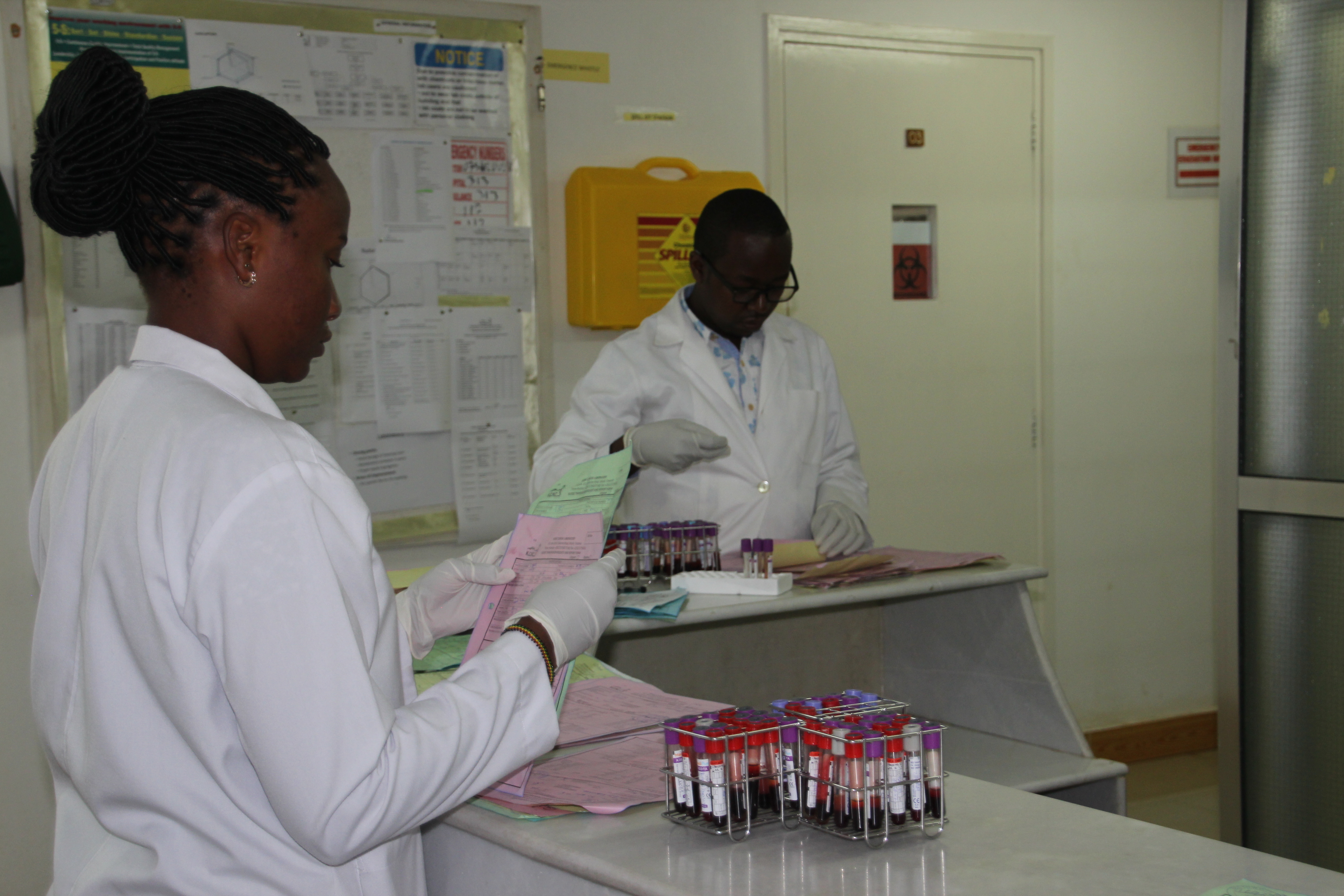 The use of appropriate gloves protects health care personnel from infectious agents when handling blood samples