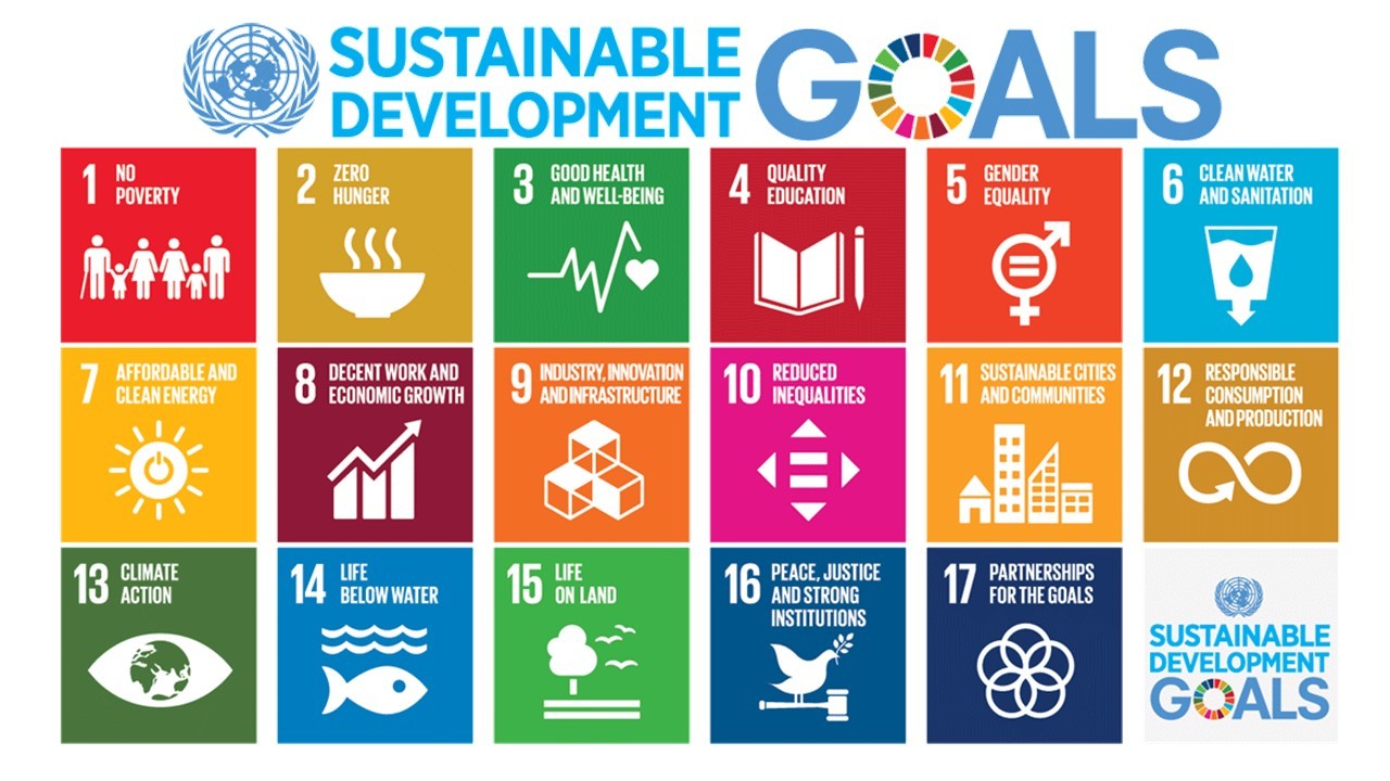 The 17 Sustainable Development Goals, including Goals such as 'No Poverty', 'Good Health and Well-Being', and 'Quality Education'.