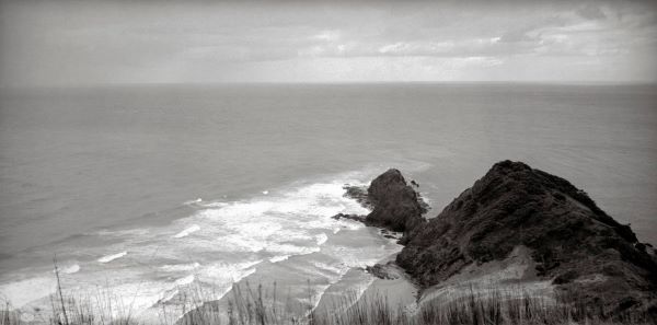 Black and white photograph looking out to sea from the very top of New Zealand. From the sea-grassy heights, we see a thin line of rock descending out to see, pointing into the distance.