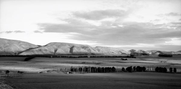 Black and white photograph of a vast flat plain, cut by lines of tall trees along boundary lines. Rolling hills in the background seem to be covered in sun-bleached grass.