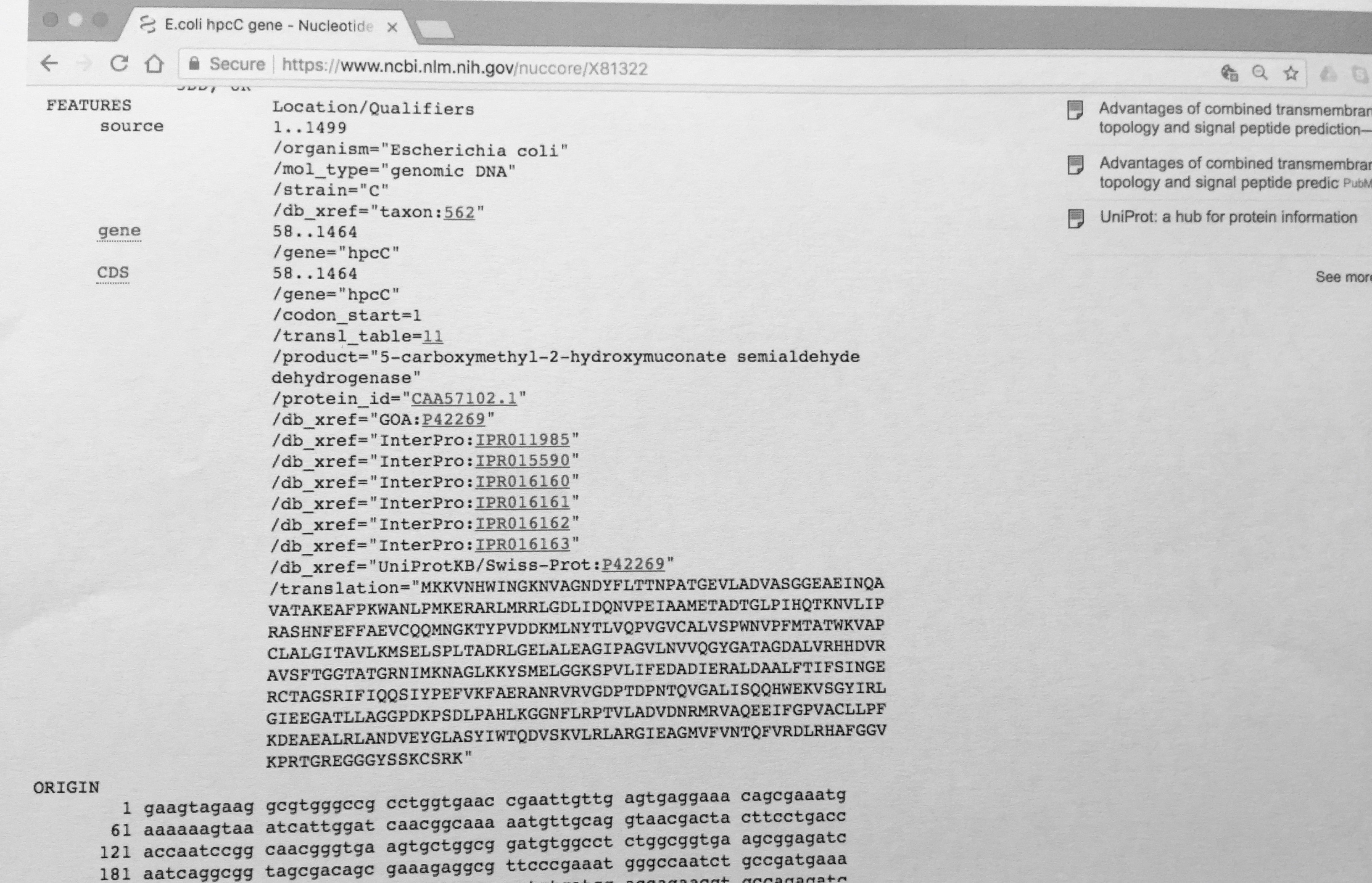 the genbank file format