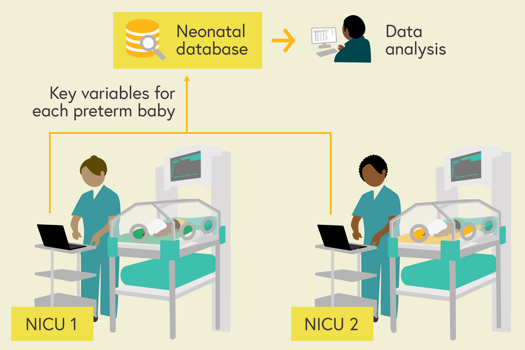 Illustration showing key data entered by neonatal nurses in different NICUs travelling to a shared internet-based neonatal database for pooled analysis