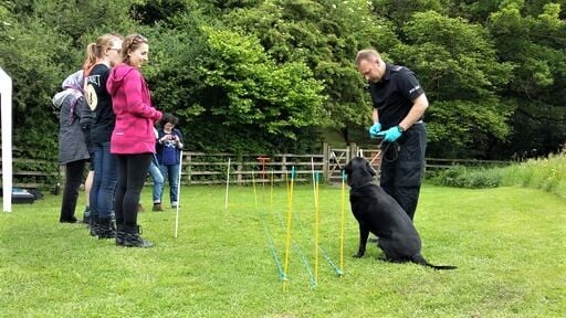 Several people surround a potential grave site while a cadaver dog and his handler prepare to examine the site