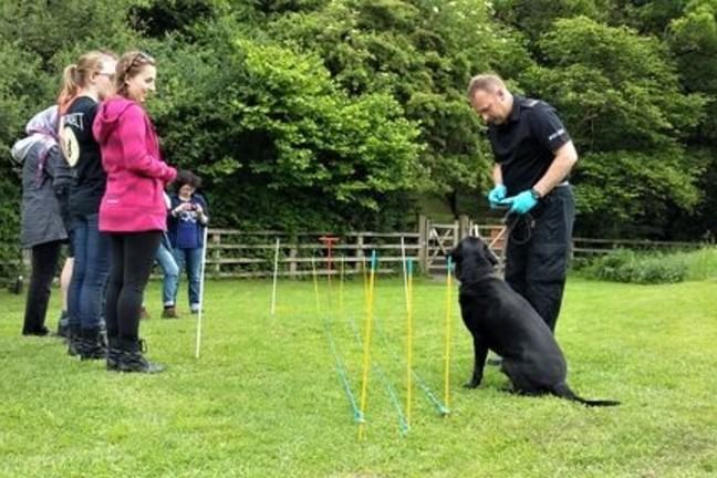 Several people surround a potential grave site while a cadaver dog and his handler prepare to examine the site