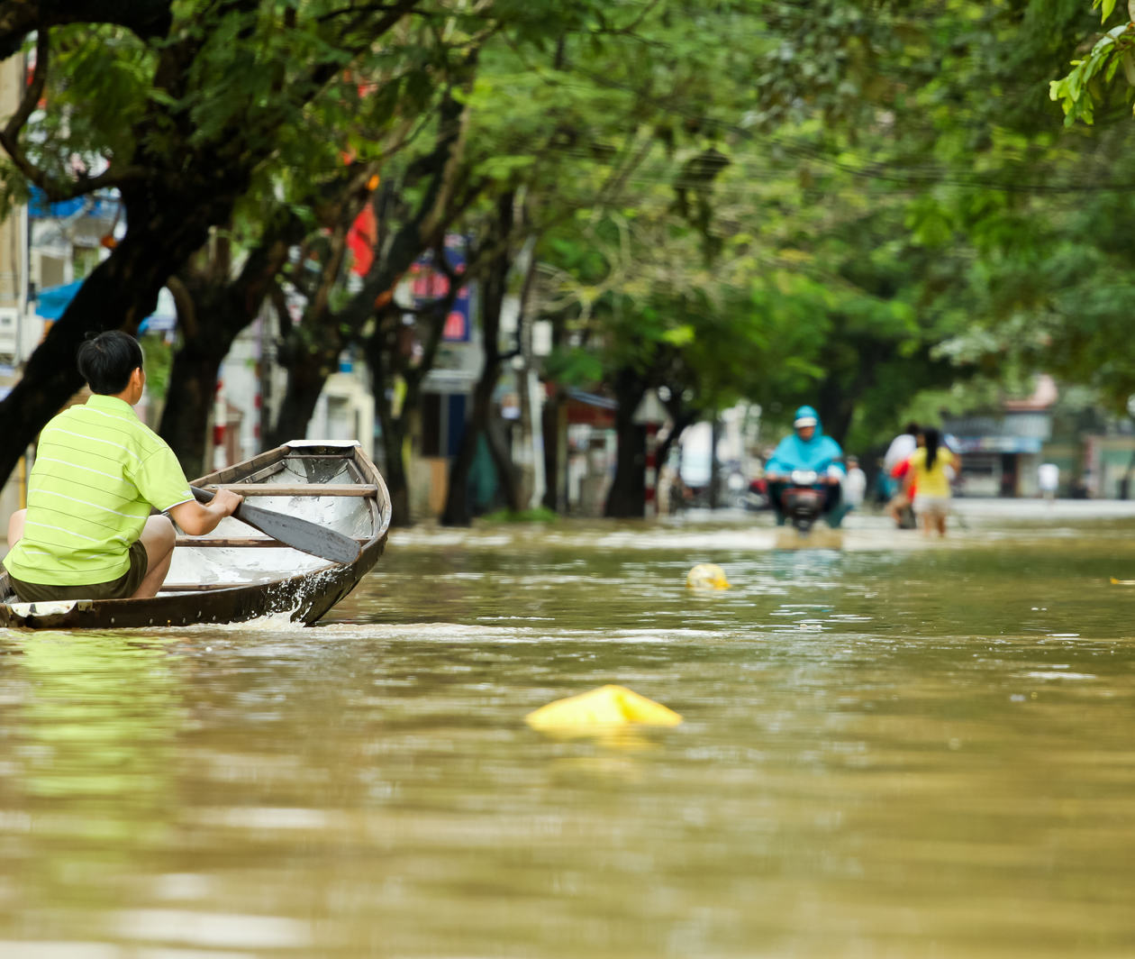 Disaster Management and Accountability