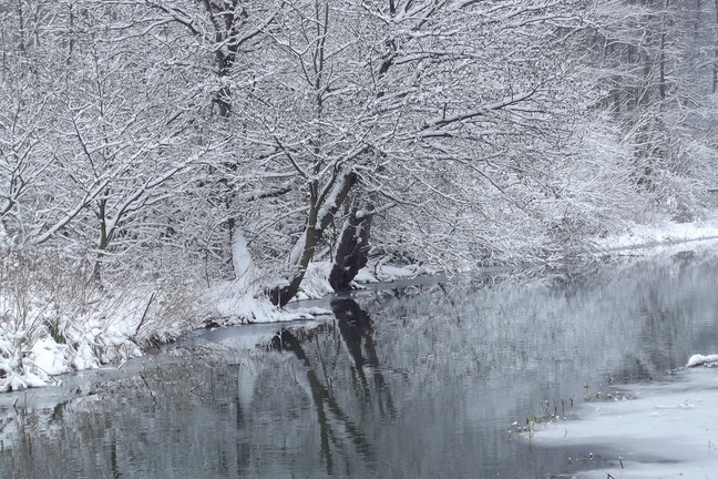 El agua sólida que cubre el coutryside