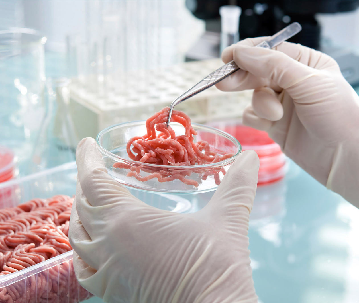 Meat being analysed in a laboratory for signs of food fraud