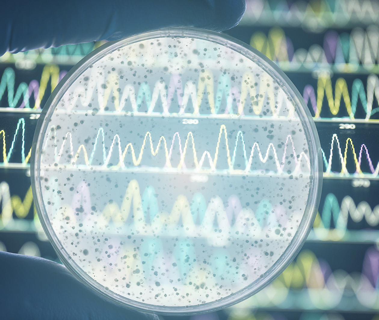 Petri dish and graph behind