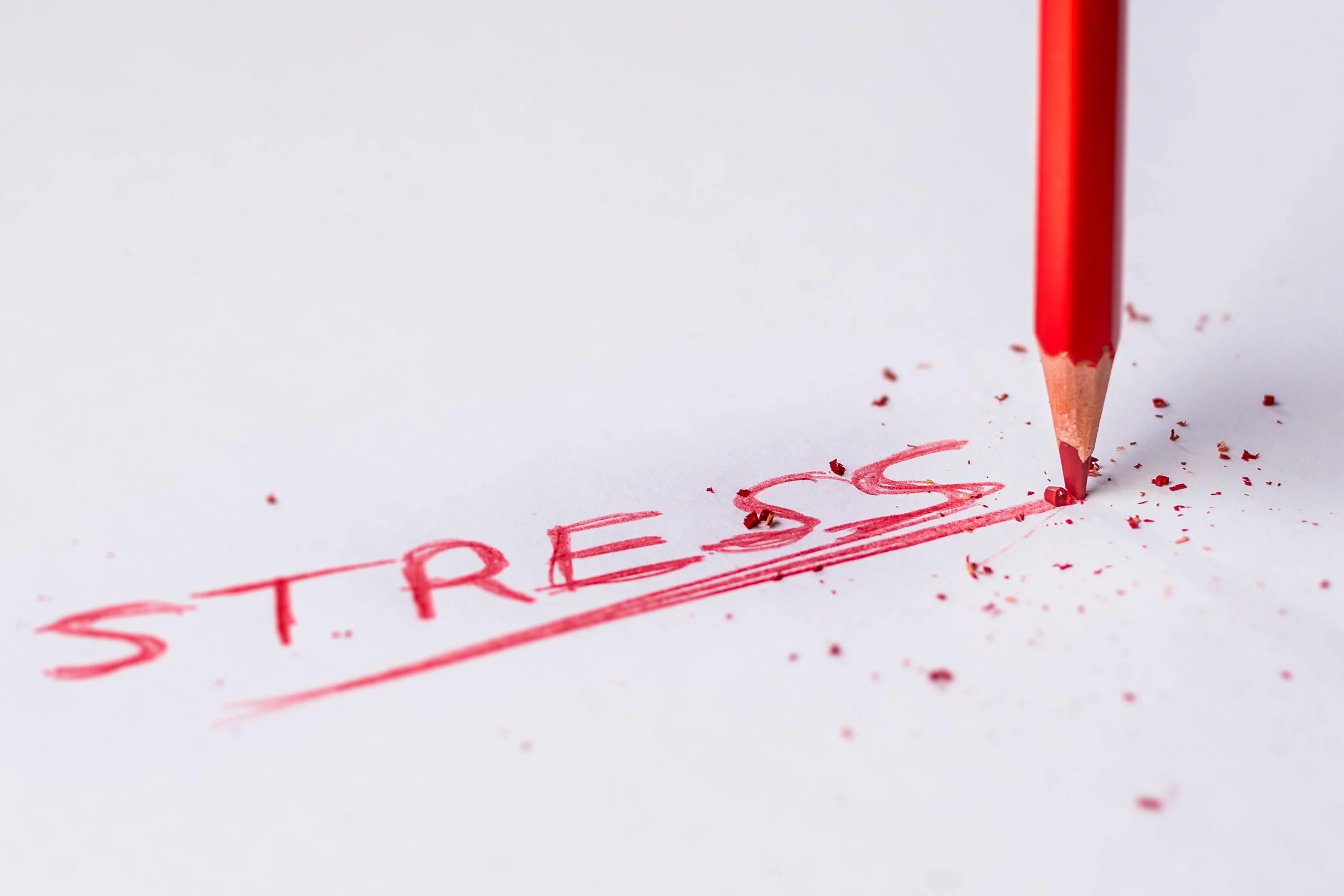 The image shows the word stress written out in red pencil.