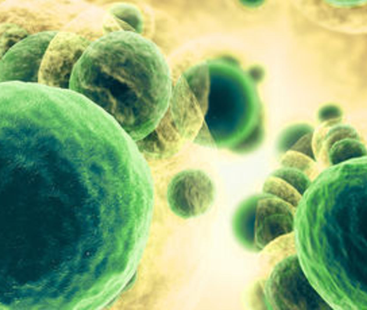 Challenges in Antibiotic Resistance: Gram Negative Bacteria