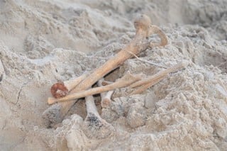 Human bones partially buried in sand