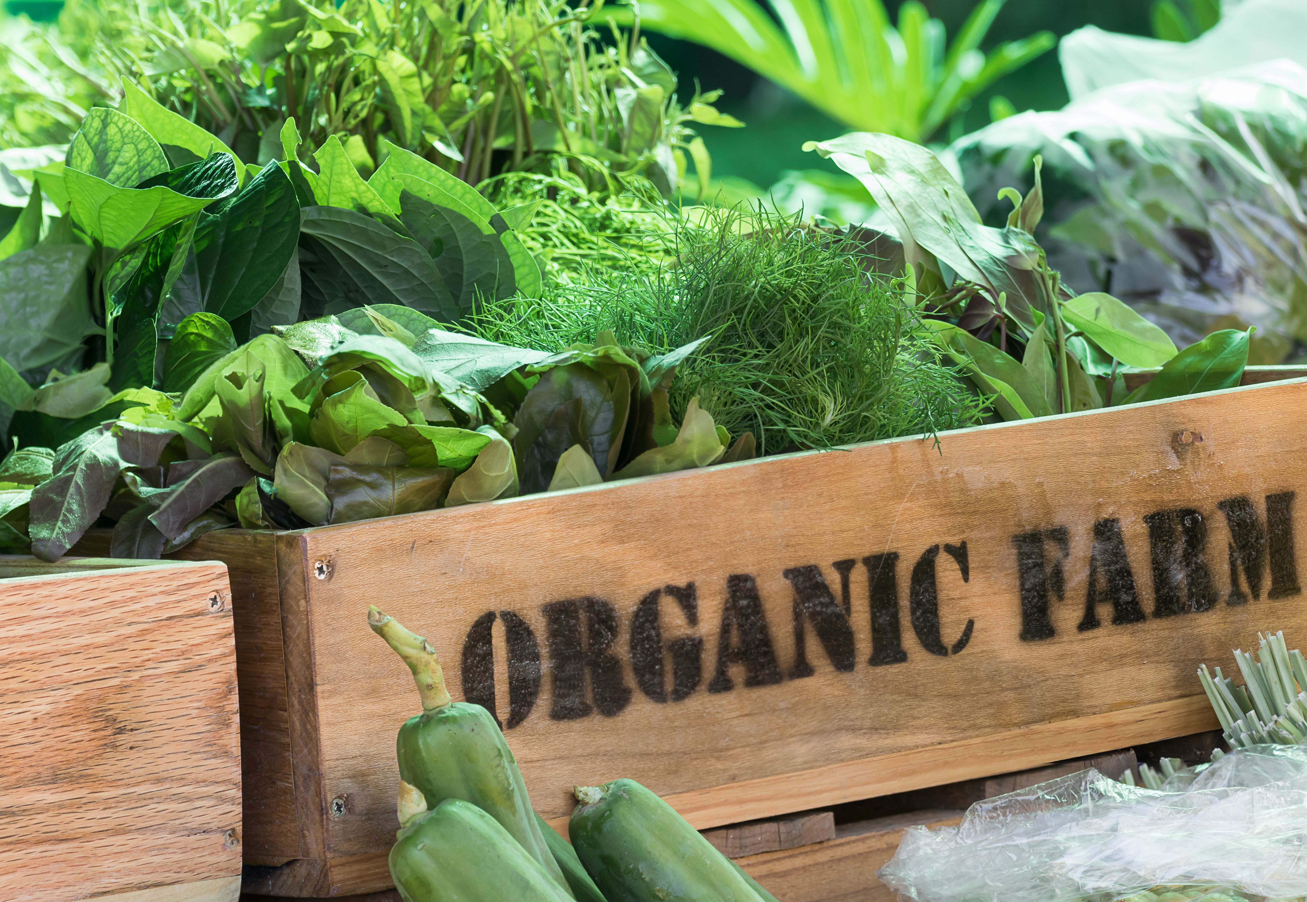 A wooden box, containing vegetables. On the side is written 'ORGANIC FARM@