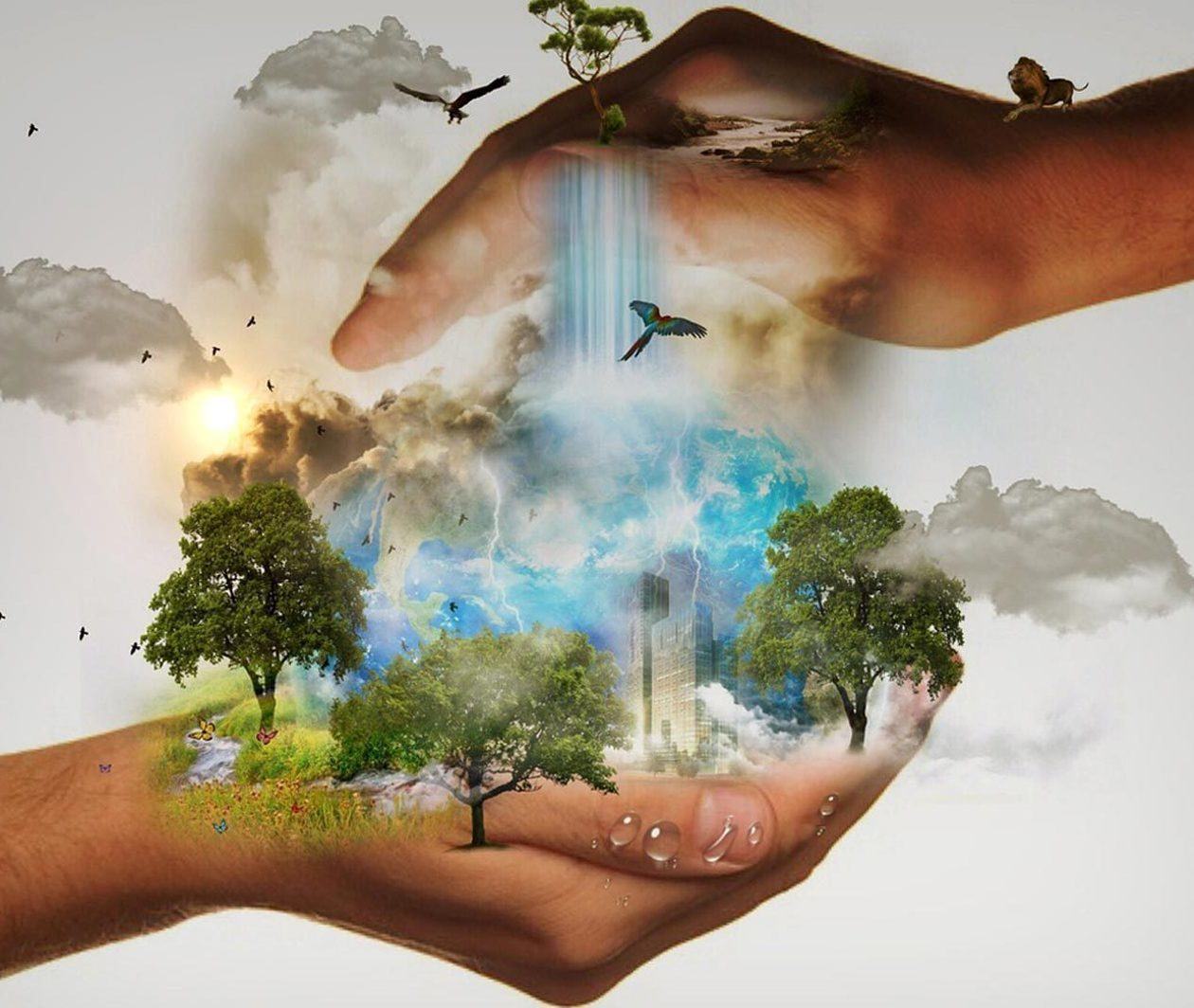Environmental Justice