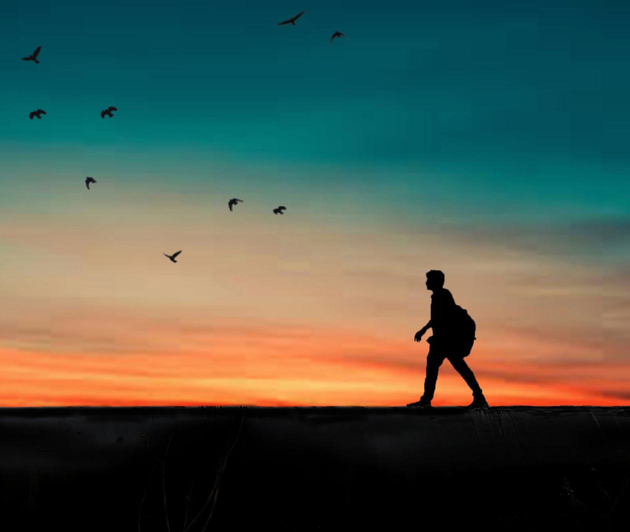 Person with a backpack walking at sunset/sunrise with birds flying in the distance. The person and the birds essentially form a silhouette.  