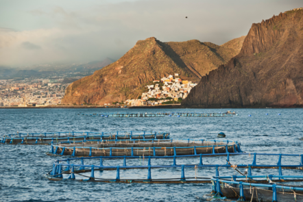 Coastal Aquaculture around a mountainous area 