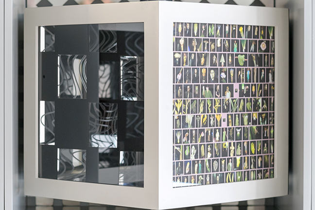 Cube Installation by Pippa Skotnes