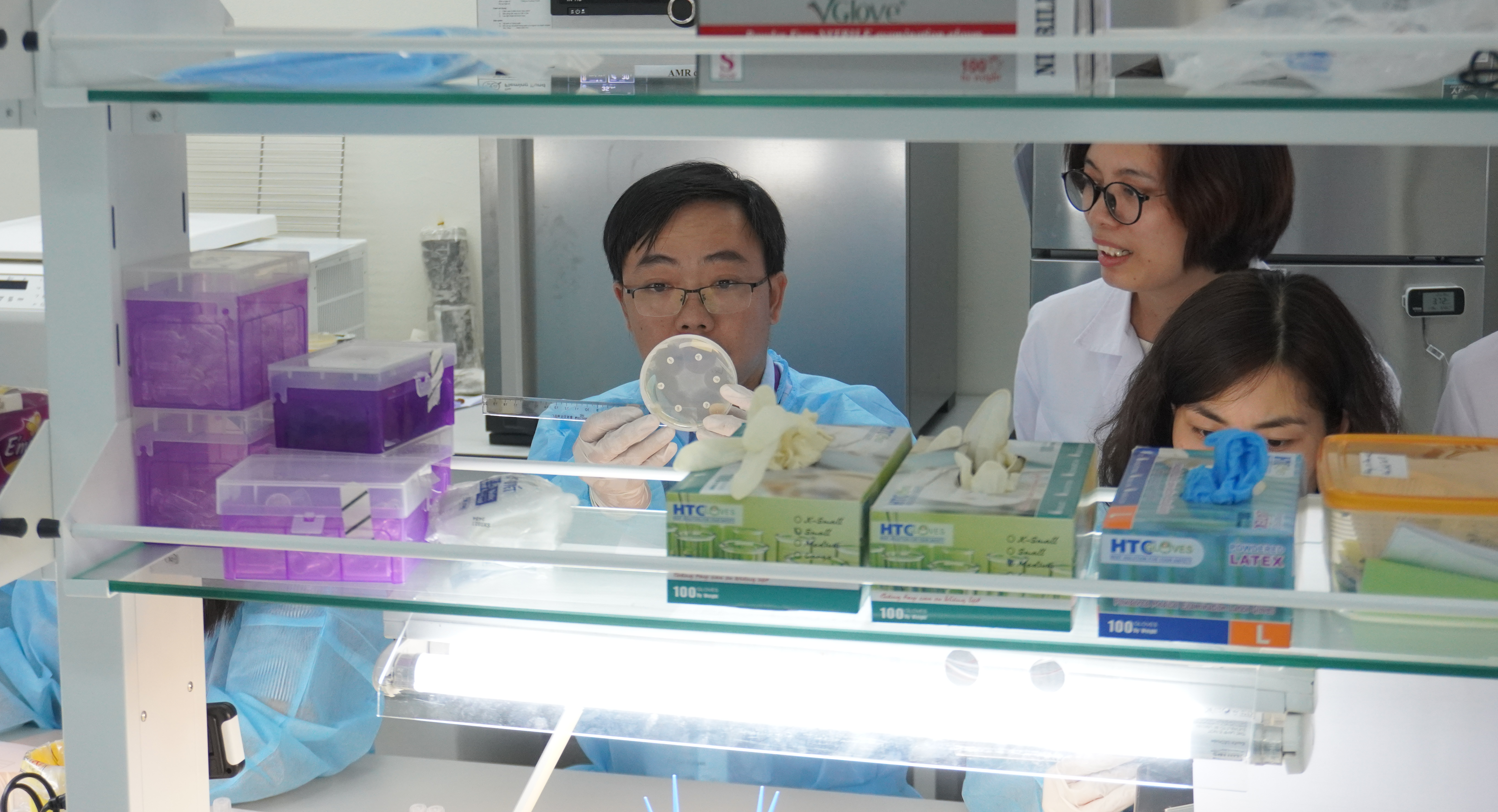 Learner in the lab looking at the plate after incubation