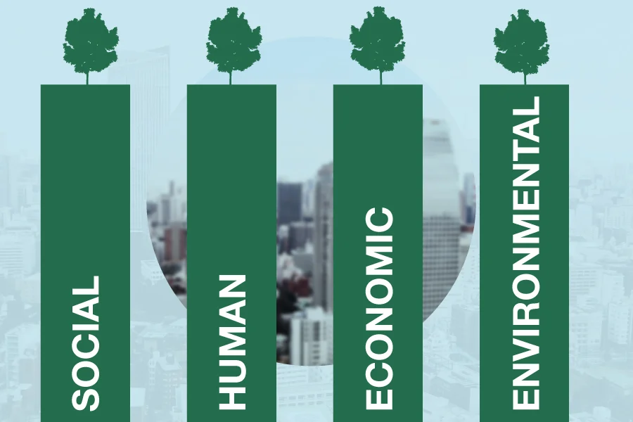 Sustainability - What Is It? Definition, Principles and Examples