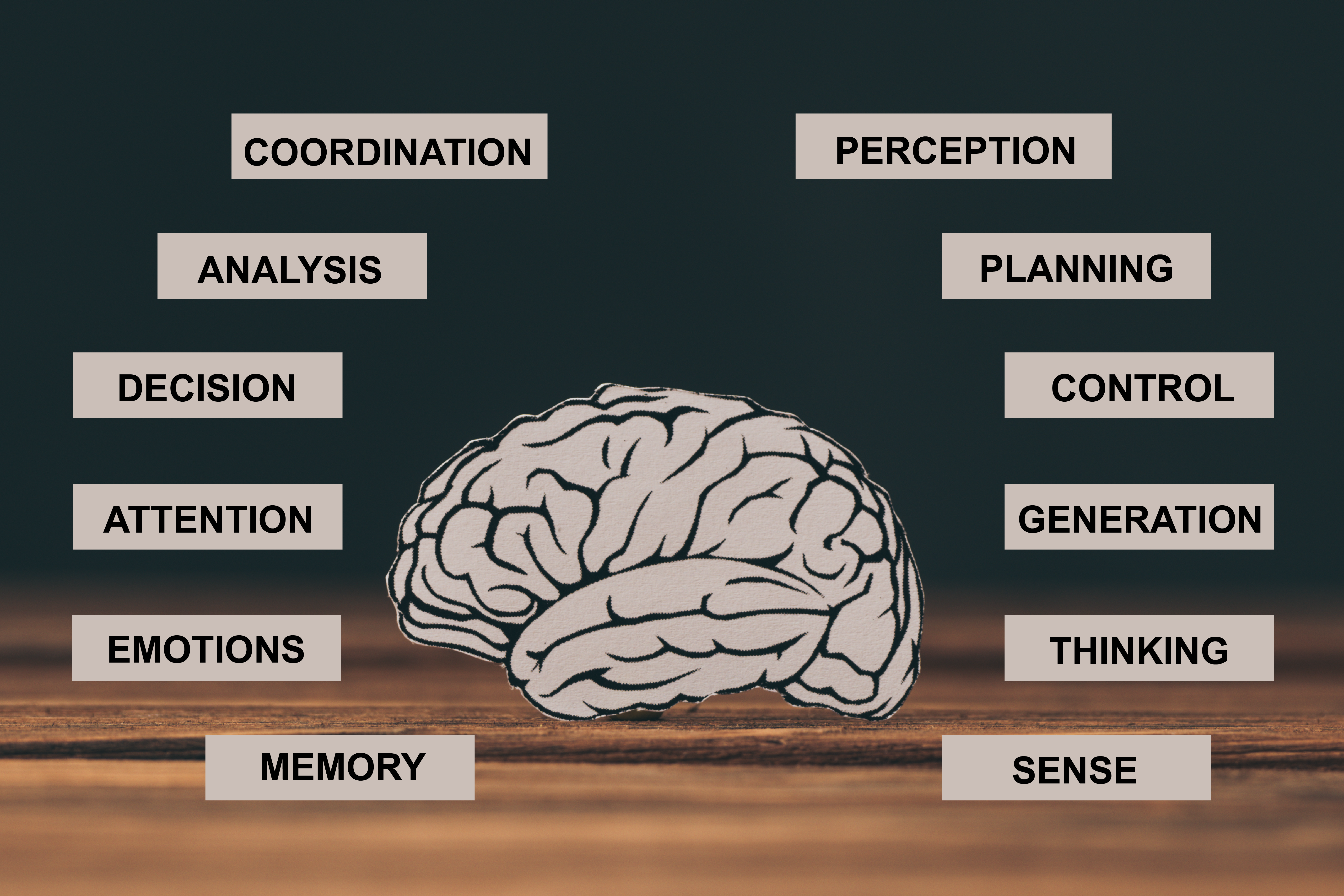 What is cognition discount and cognitive development