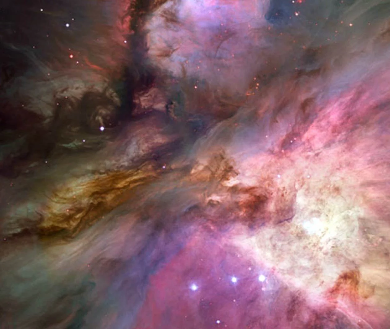 In The Night Sky Orion Online Course