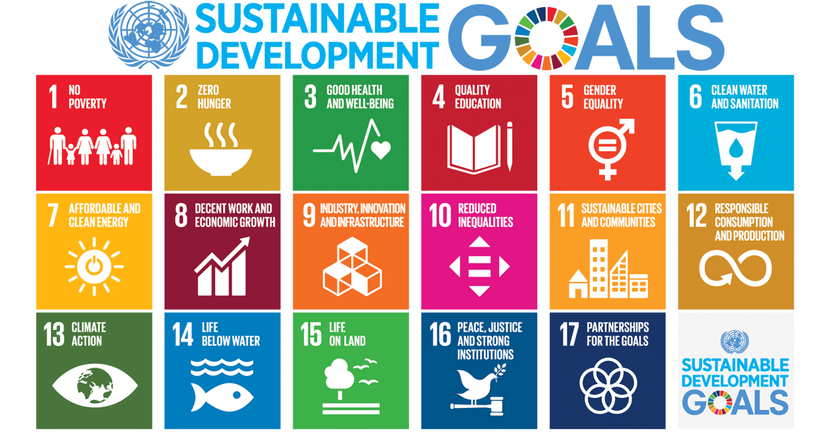 the Sustainable Development Goals