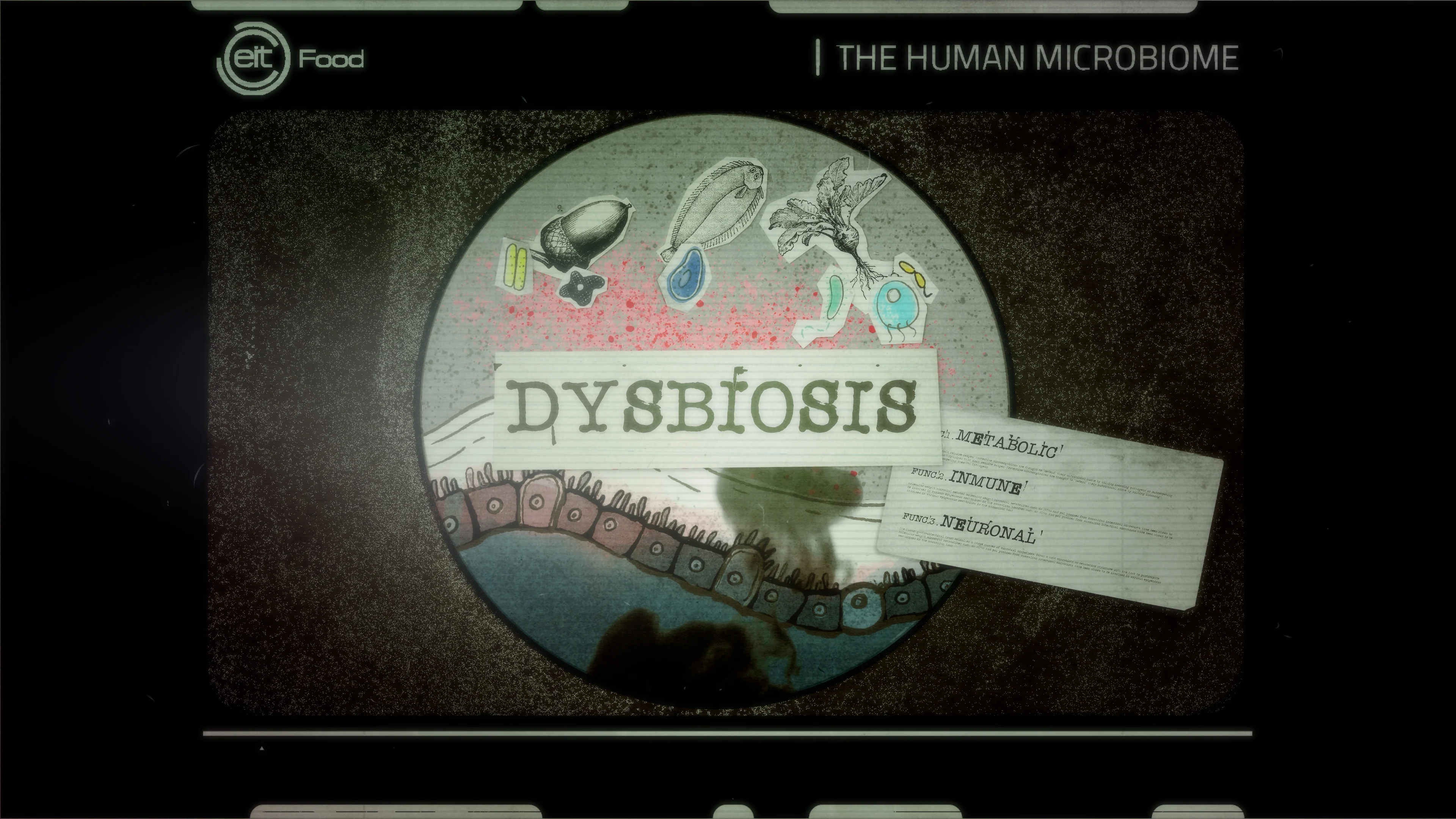 An altered equilibrium of the gut microbiota can result in dysbiosis