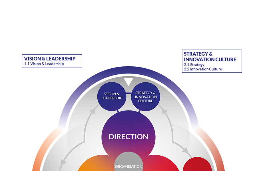 Section of the diagram of the EFQM Innovation Framework. Focus is on the Direction pillar.