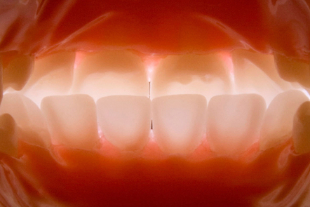 inside view of a mouth from the throat 