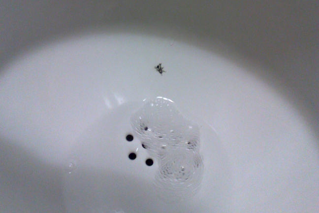 Painted fly on urinal: a 'nudge' that reduces unwanted splashes