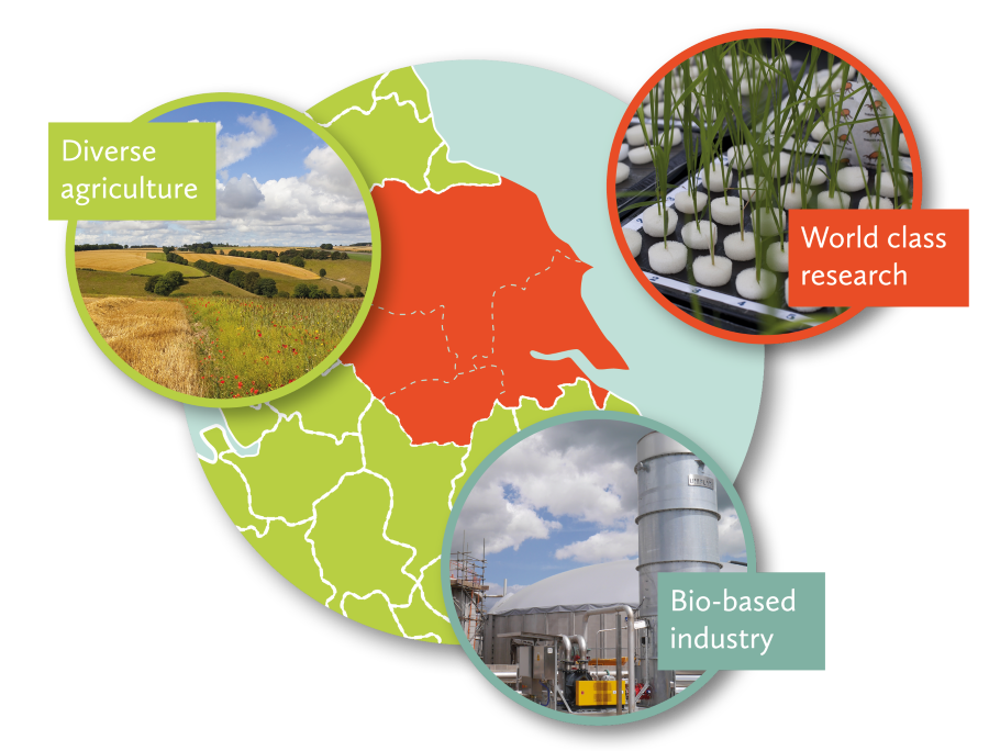 A map of part of the UK in green, with Yorkshire coloured in orange. There are three images with captions: 1) a field labelled 'diverse agriculture', 2) plants labelled 'world class research' , 3) a factory labelled 'bio-based industry'.