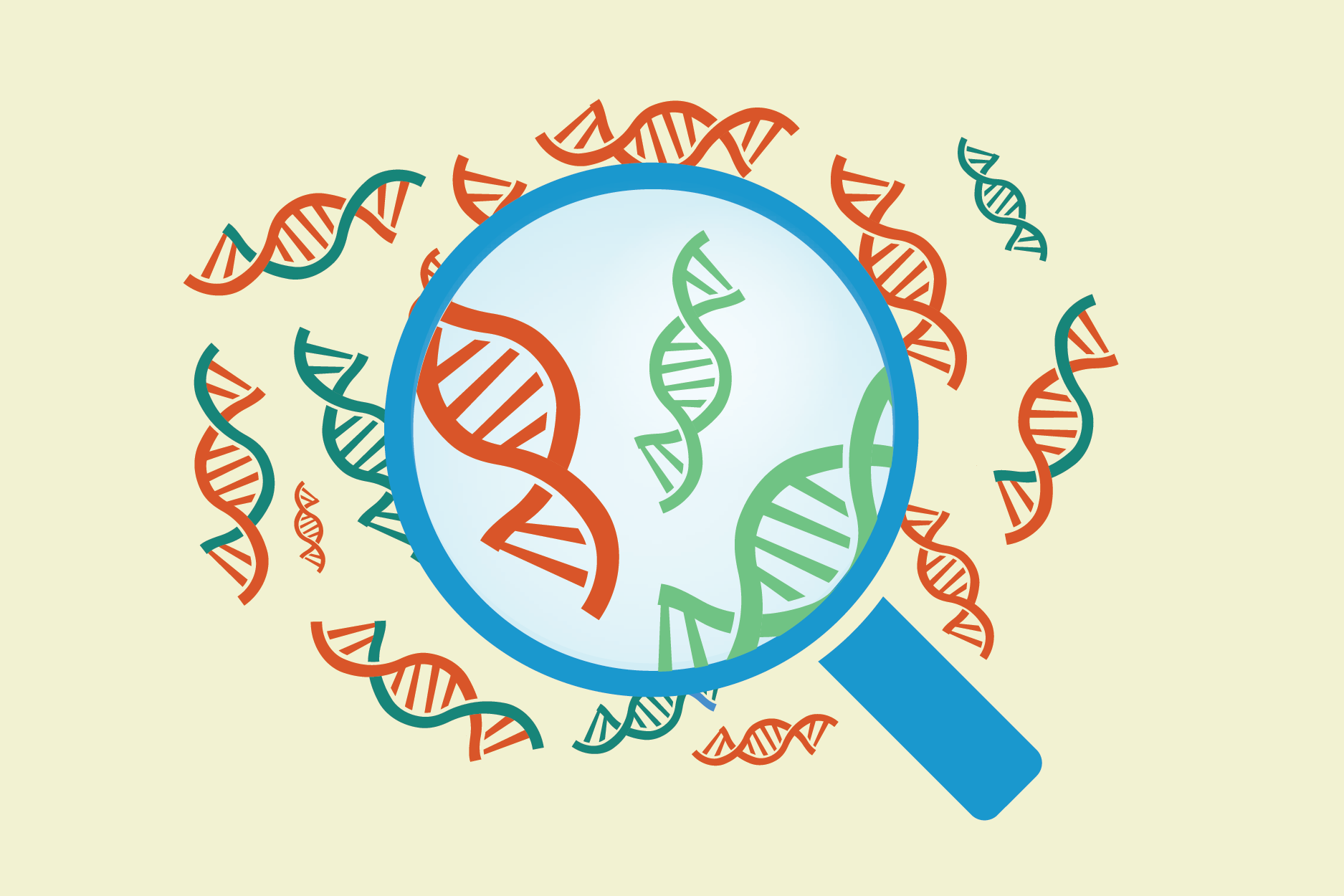 Genetic testing in early pregnancy