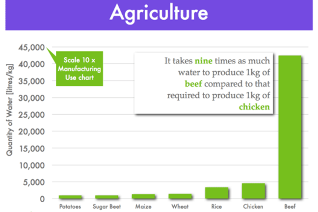 Water use in agriculture