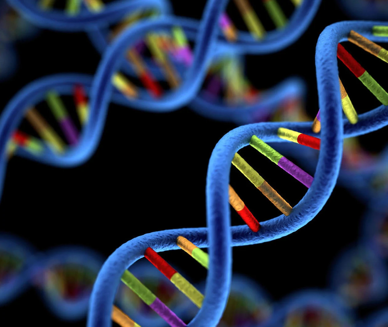 Genomics and a DNA helix model