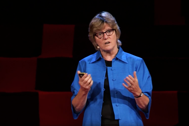 Dame Sally Davis talking on stage