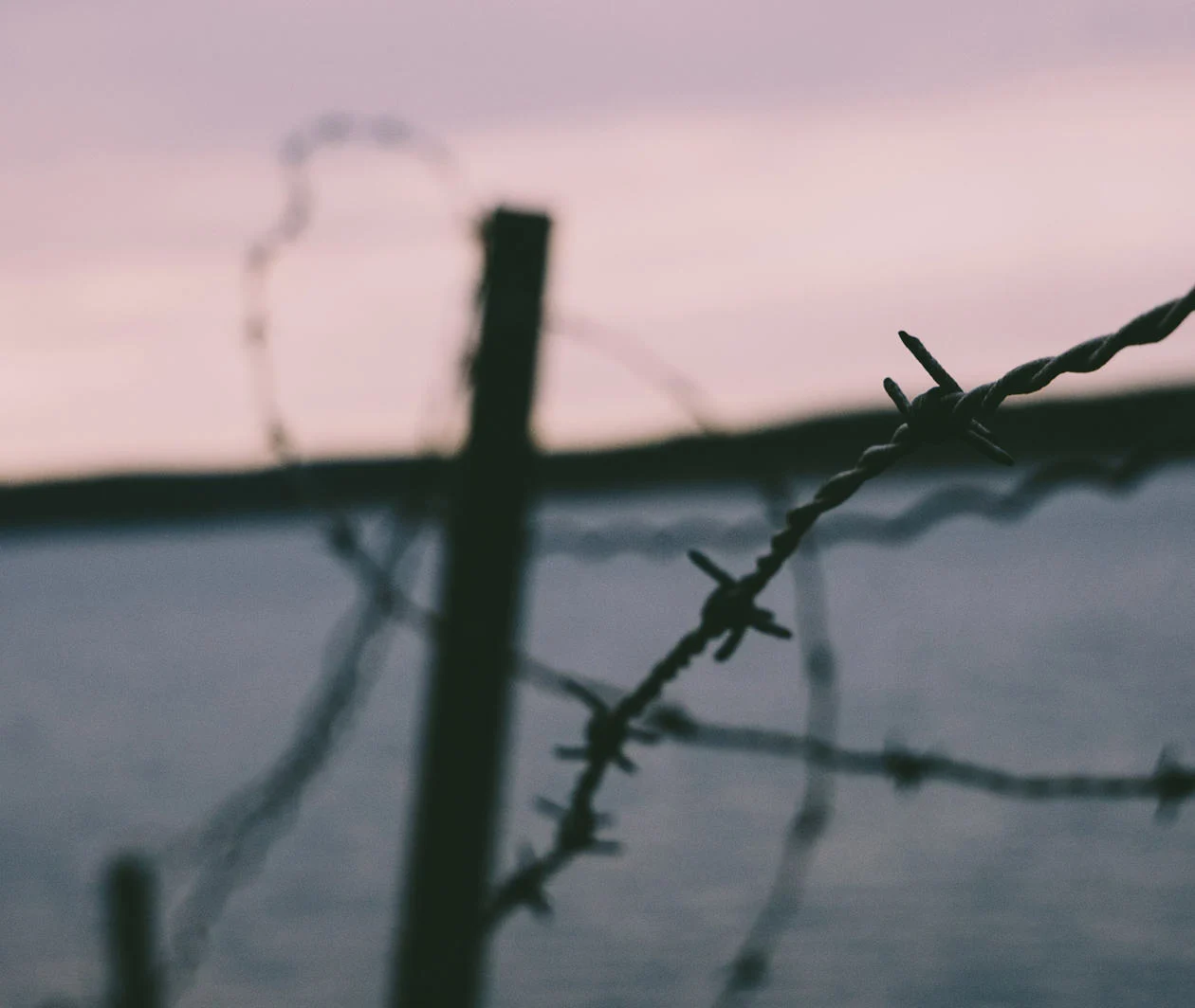 Barb wire fence