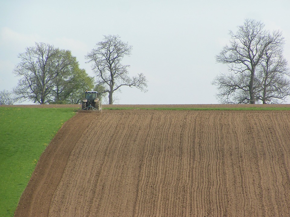 Tractor ploughing a field