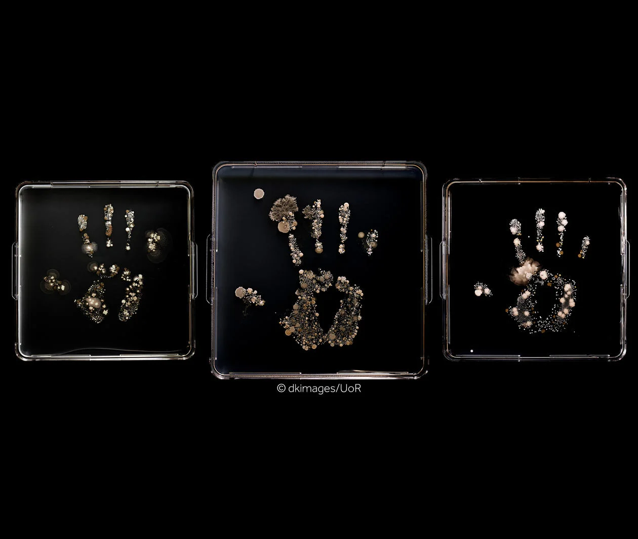 Hand imprints of microbes