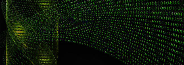 Clinical Bioinformatics: a digital helix