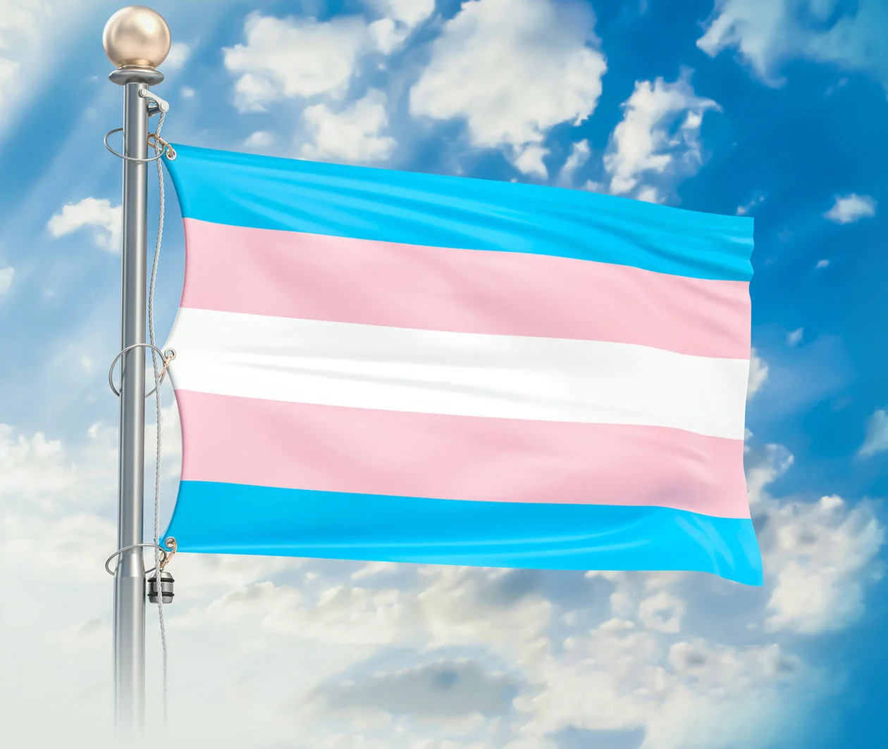 pink and blue striped flag