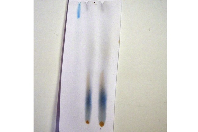 La separación de los componentes de colorante de alimentos utilizando papel secante y agua.