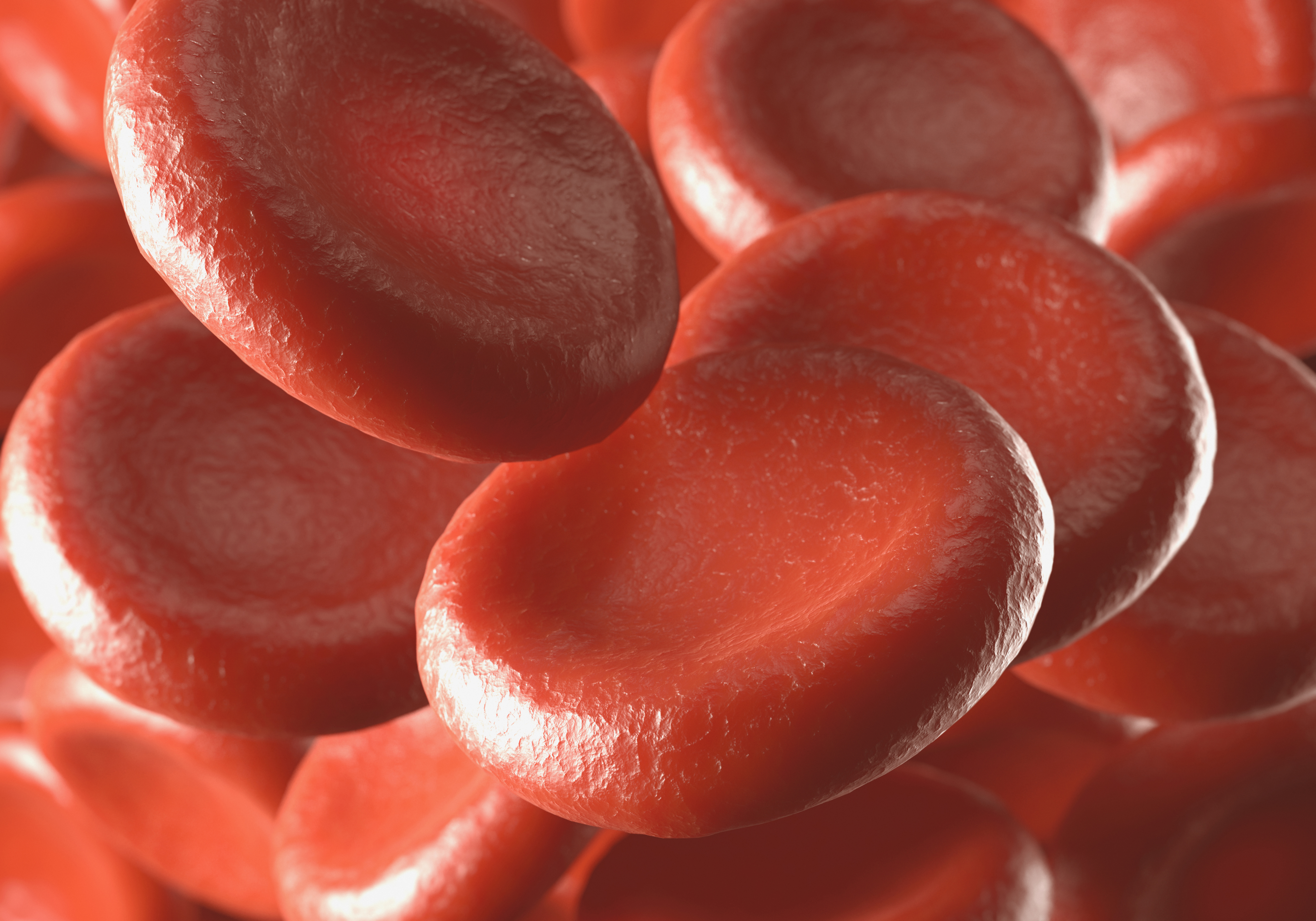 red blood cells.