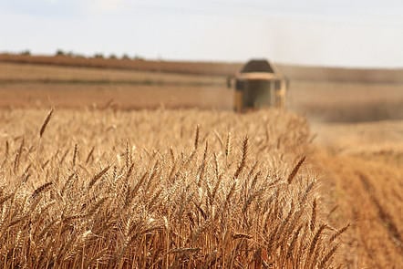 Innovation in Arable Farming: Technologies for Sustainable Farming Systems - cover image